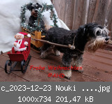c_2023-12-23 Nouki Weihnachtsschlitten 6.jpg