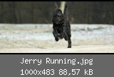 Jerry Running.jpg