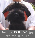 Invicta 13 Wo 046.jpg