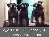 c_2017-01-26 Treppe.jpg