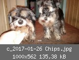 c_2017-01-26 Chips.jpg