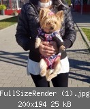 FullSizeRender (1).jpg
