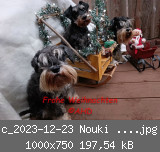 c_2023-12-23 Nouki Weihnachtsschlitten 5.jpg